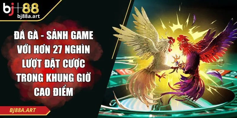 Đá gà - Sảnh game với hơn 27 nghìn lượt đặt cược trong khung giờ cao điểm