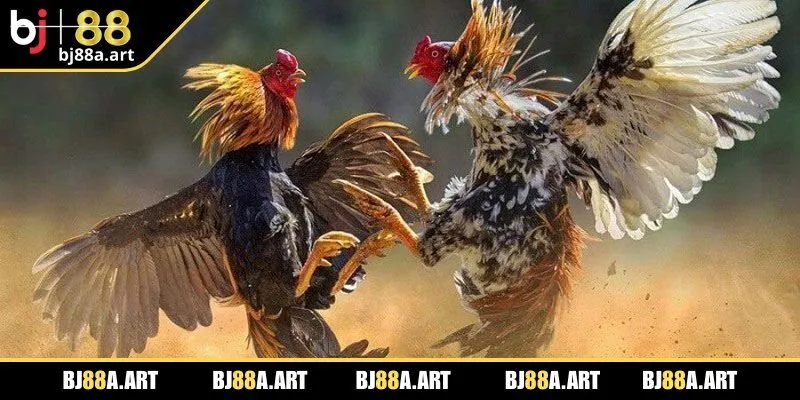 Bí quyết để làm chủ từng trận đấu, nâng cao hiệu suất chiến thắng 