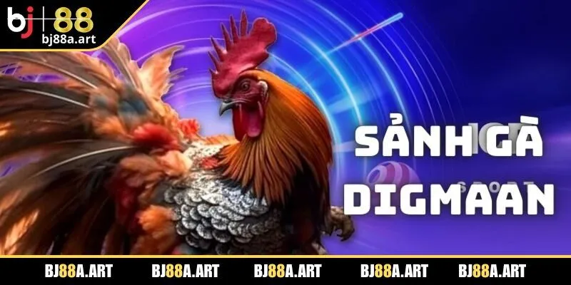 Sảnh Digmaan không gian giải trí hàng đầu